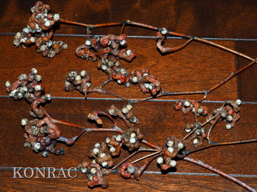 �P���|�i�V